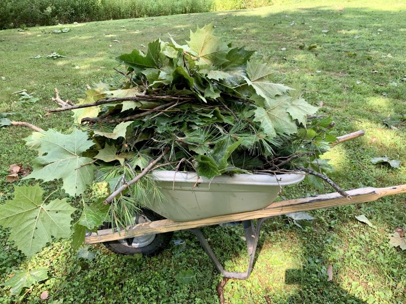 Accessibility & Comfort