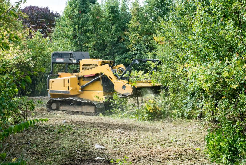 Land Clearing with Mulching
