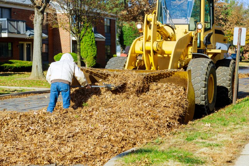 Seasonal Forest Mulching
