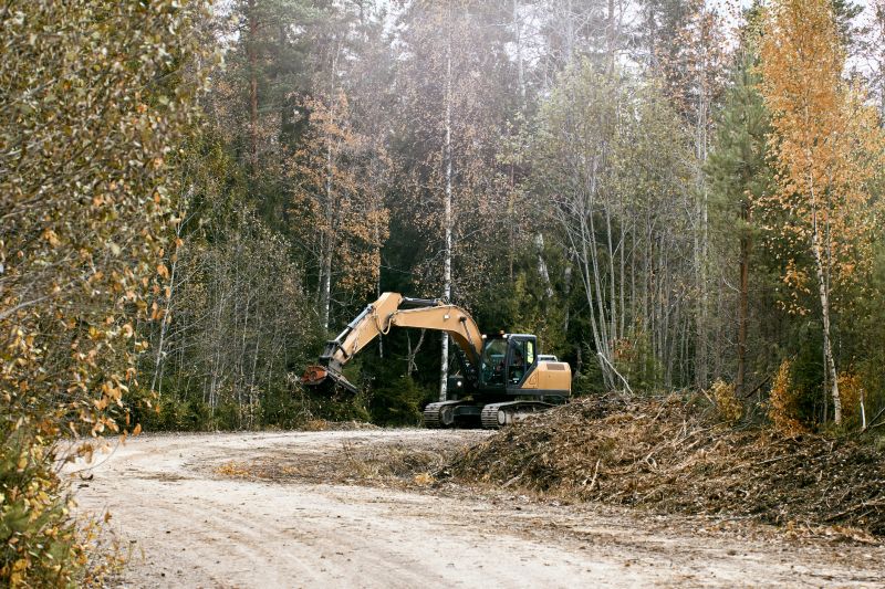 Forestry Mulching in Progress