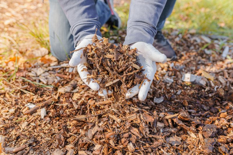Products For Forestry Mulchings in use