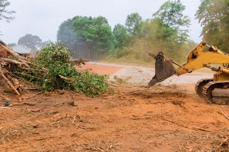 Land Clearing Service